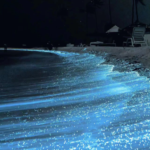 97超碰在线免费
